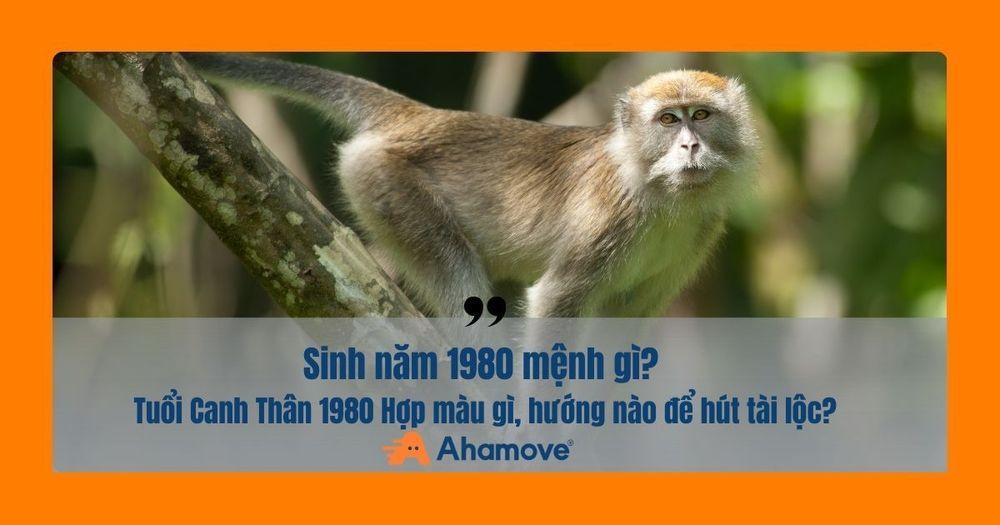 1980 mệnh Mộc, tuổi Canh Thân
