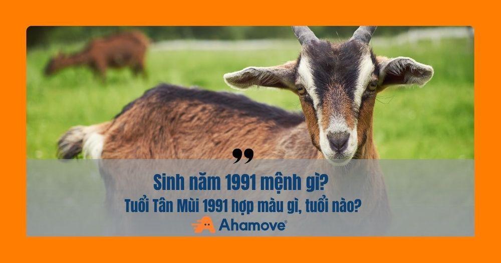 1991 mệnh Thổ, Lộ Bàng Thổ