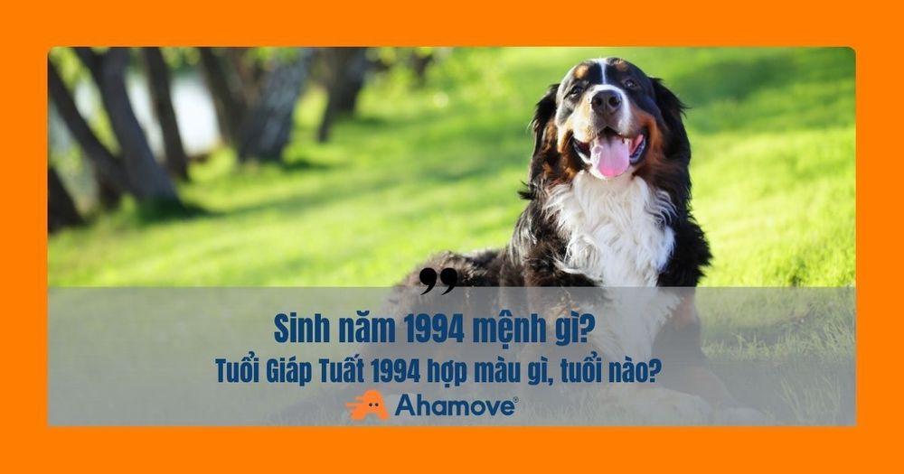 1994 mang mệnh Sơn Đầu Hỏa