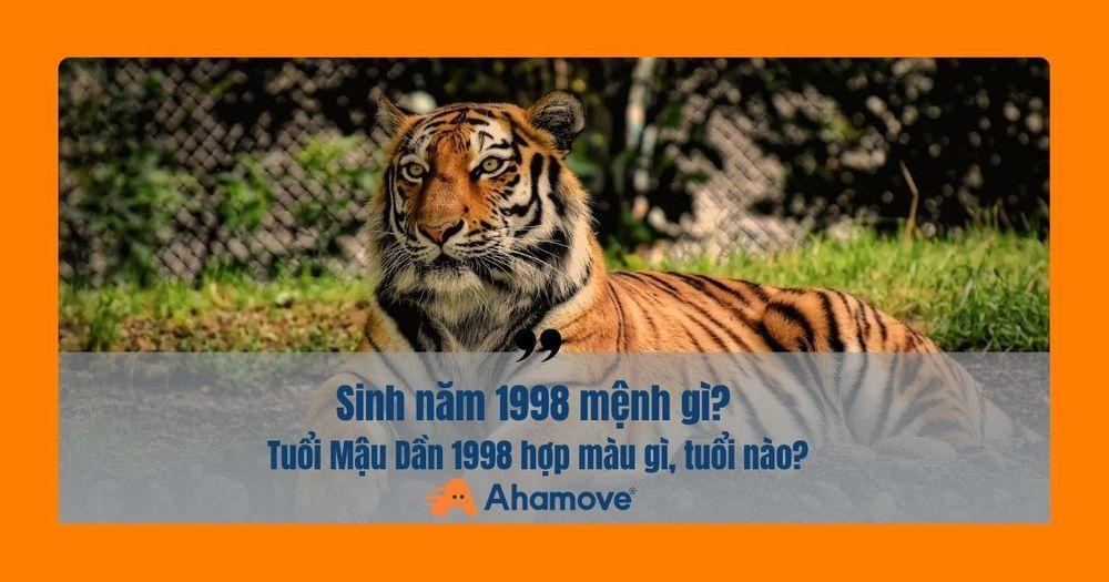 1998 mang mệnh gì