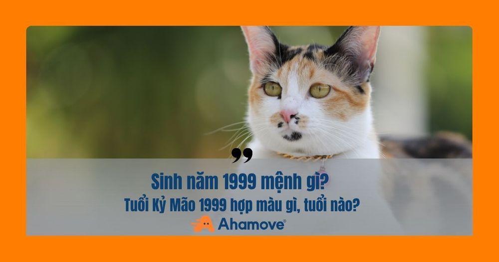 1999 mang mệnh gì