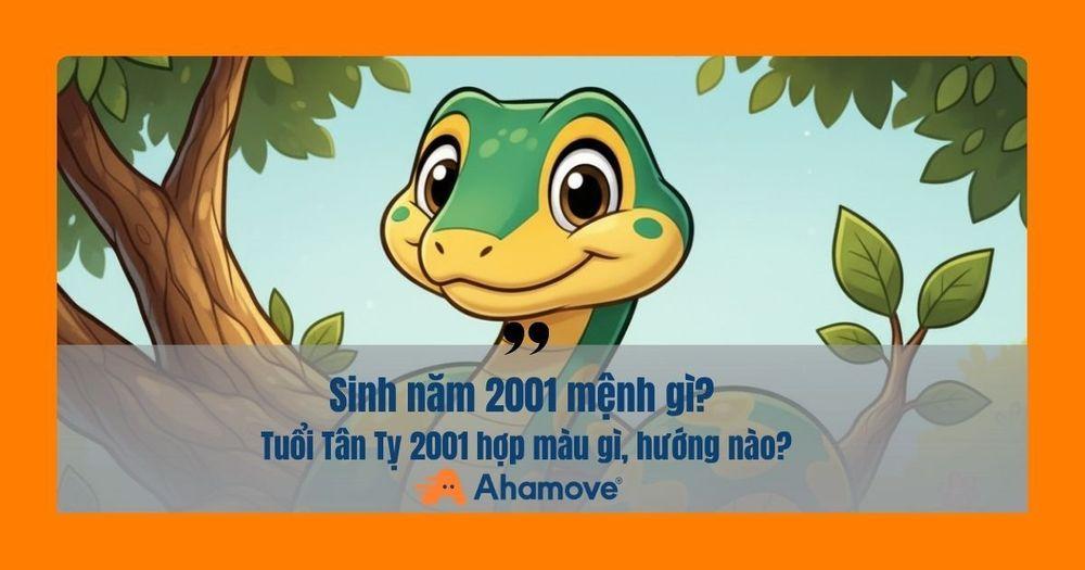 Tân Tỵ 2001 mang mệnh Kim