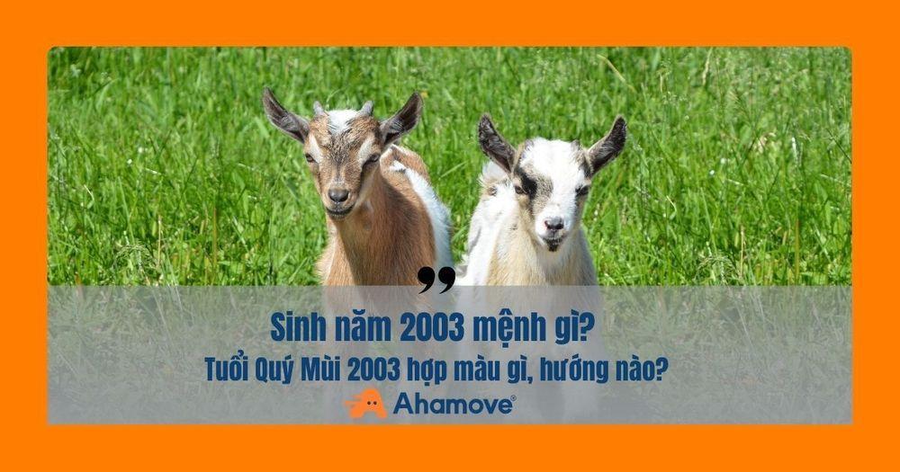 2003 Quý Mùi mang mệnh Mộc, Dương Liễu Mộc