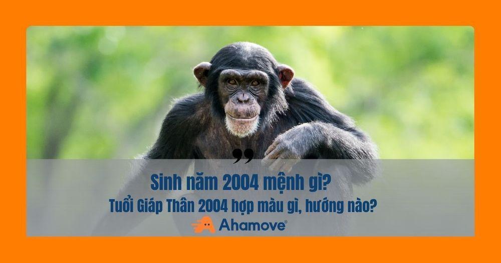 2004 mang mệnh Thủy và tuổi Giáp Thân