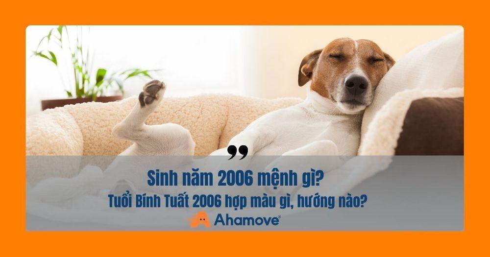 2006 tuổi Bính Tuất mệnh Thổ