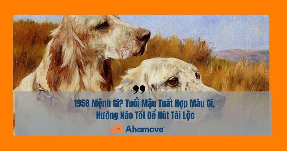 sinh năm 1958 có mệnh gì