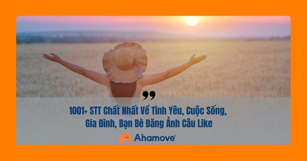 stt chất