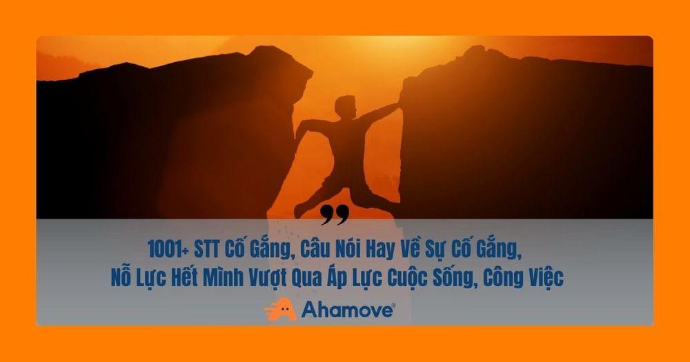 stt cố gắng