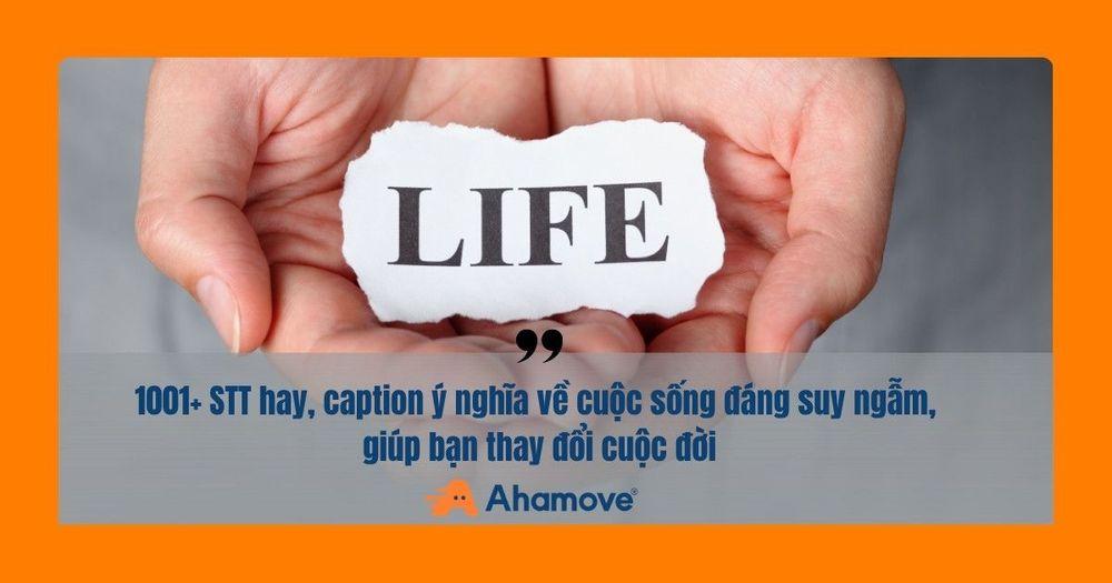 stt hay về cuộc sống