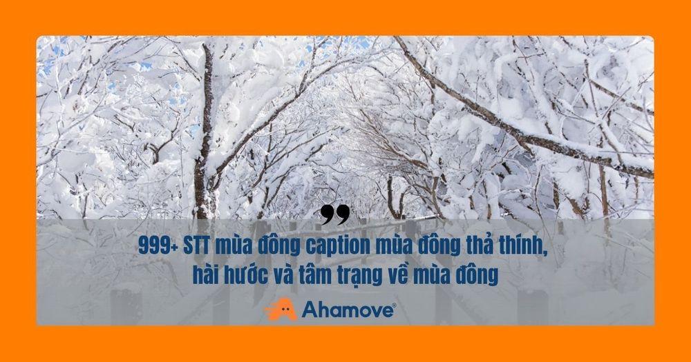 stt mùa đông