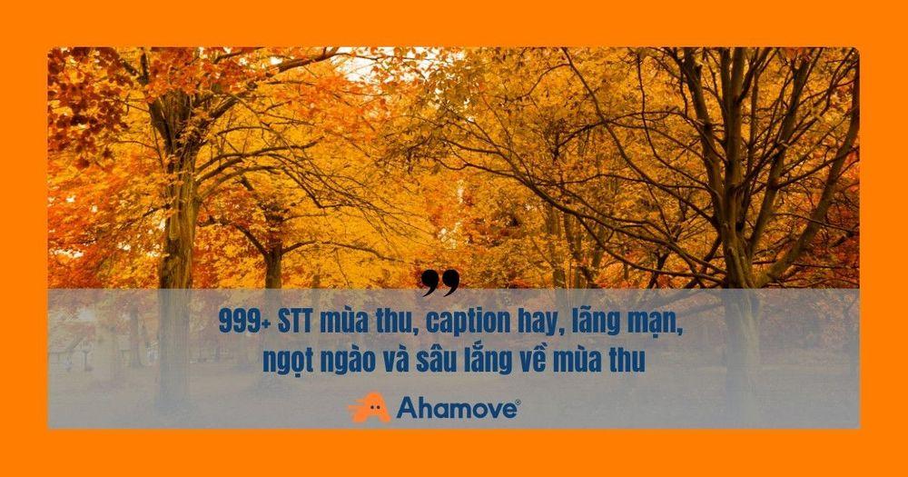 stt mùa thu
