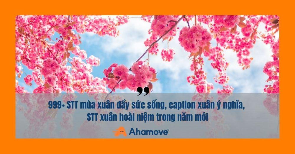 stt mùa xuân