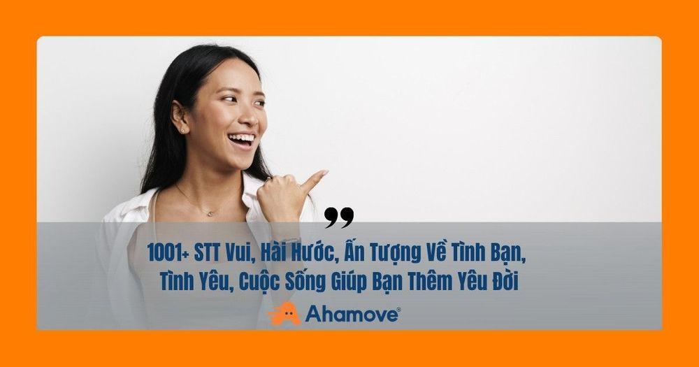 stt vui