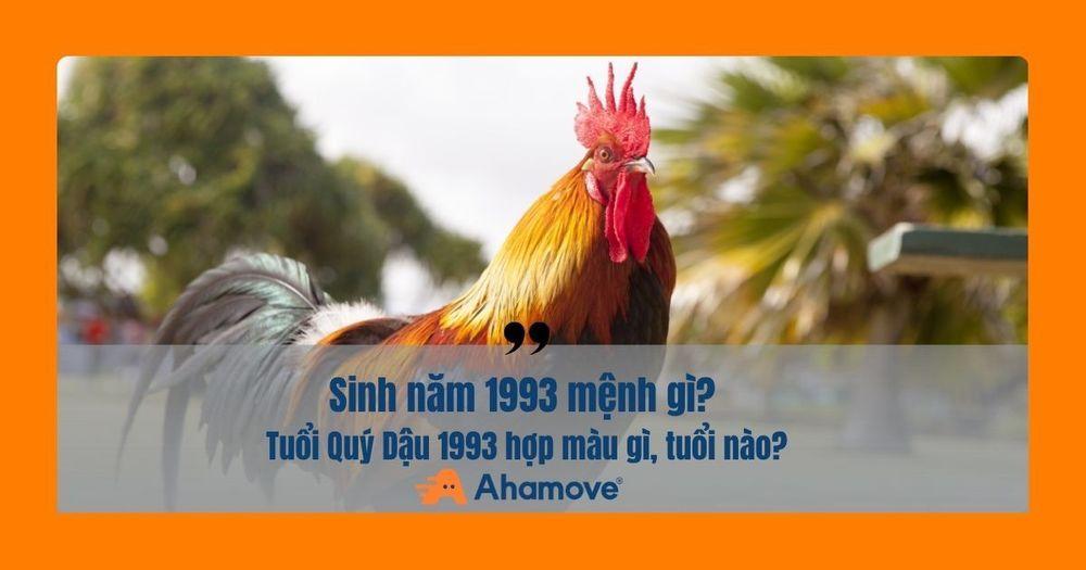 1993 mang mệnh Kim
