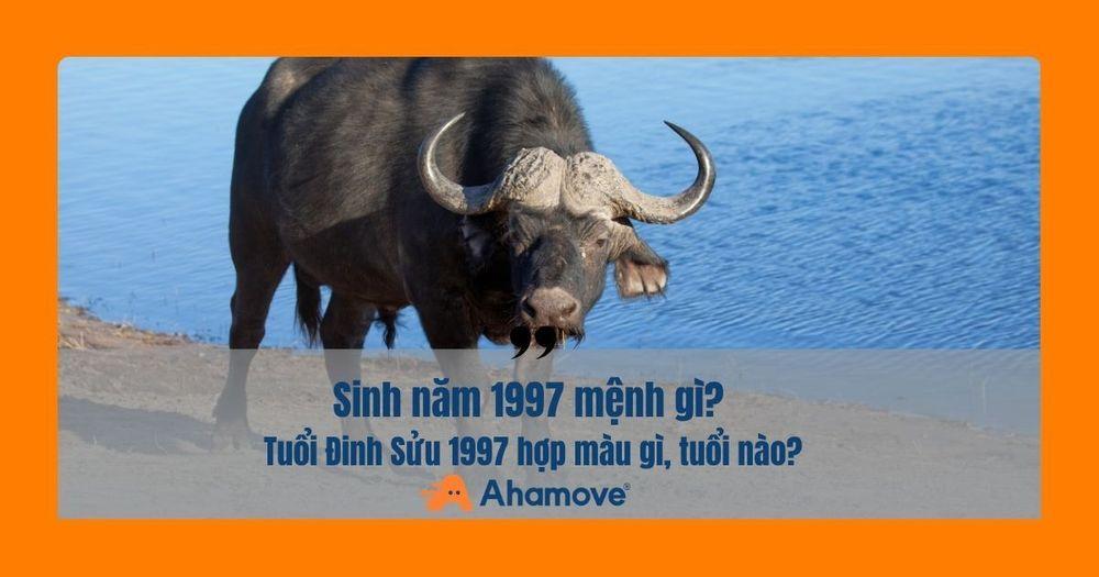 1997 mang mệnh Thủy, nạp âm là Giản Hạ Thủy